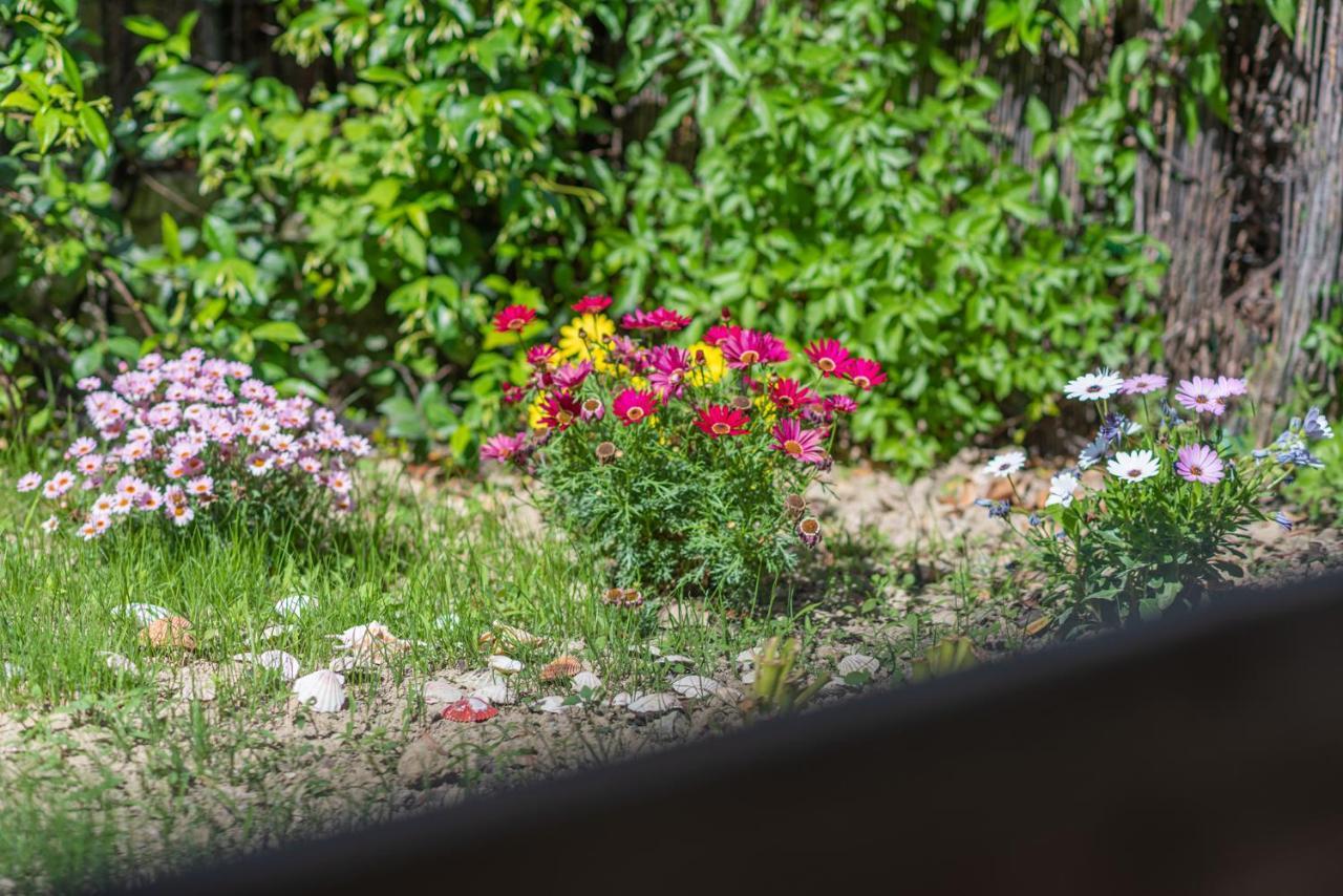 אגיוס גורדיוס Villa Popi On The Beach Of Agios Gordios מראה חיצוני תמונה